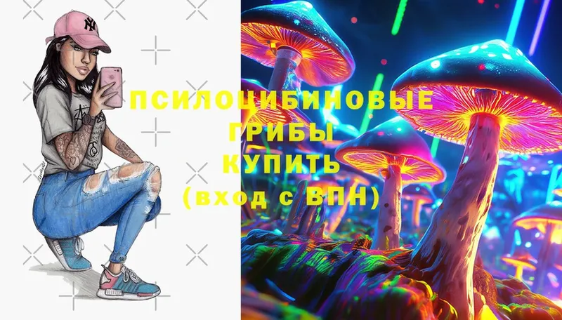 купить   Видное  кракен рабочий сайт  даркнет клад  Галлюциногенные грибы Cubensis 